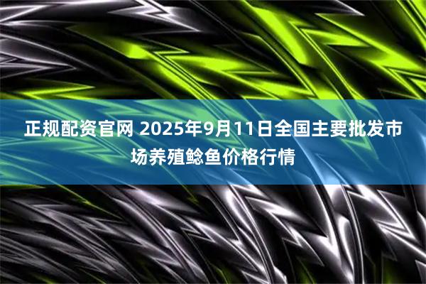 正规配资官网 2025年9月11日全国主要批发市场养殖鲶鱼价格行情