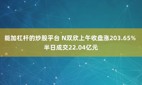 能加杠杆的炒股平台 N双欣上午收盘涨203.65% 半日成交22.04亿元
