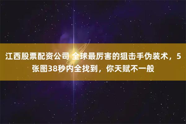 江西股票配资公司 全球最厉害的狙击手伪装术，5张图38秒内全找到，你天赋不一般